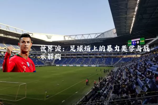 世界波：足球场上的暴力美学与战术解构